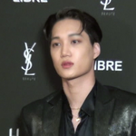 김종인 도대체 정체가 뭐임?ㅠㅠ