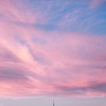 분홍 하늘을 보면 기분이 <b>조크</b>든요