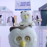 붱철이가 알려주는 <b>노비</b>팁