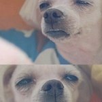 [방탄소년단] 근데 <b>가사</b>봤어?