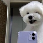 [댓글부탁해] 이거 <b>내신</b> 몇등급이야?