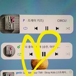 [스키즈] 더팩트 투표 끌올