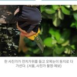 <b>새</b>둥지가 훤히 드러난 <b>사진</b>을 보면 의심부터 해야하는 이유