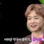 [NCT드림] 근데 천러는 ㄹㅇ <b>언어</b> 뭐 있는듯