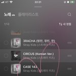 [스키즈] 댕<b>카스</b> 그림
