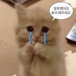 [드루와] 여행유튜버 쏘이 아는사람 있냐