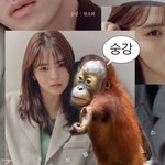 지금 삼각김밥 먹으면 얼굴 부을까??