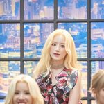 나처럼 애들이 많이 놀리고 갈굼당하는