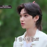 [스키즈] 스테이 들어와봐