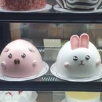 <b>정국이</b> 4마리