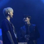 [NCT드림] 같이 하자고 눈빛 <b>발사</b>하는 강아지