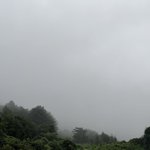 [뉴진스] <b>혜인</b> 포닝 앨범 업데이트