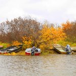 [알래스카] ALASKA " 북극마을 Yupʼik 부족 Oscarville을...