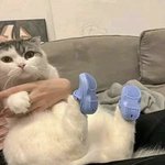 [댓글부탁해] 답변해주면 수능 올1 + 수시 다붙음