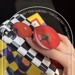 [군대] ㅅㄷ 뭐가나을꺙 추천해쥬ㅜ