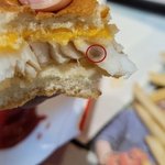 "어떻게 이런일이"…맥도날드 버거서 기생충 발견 논란