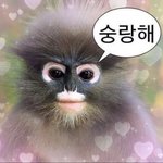 20<b>세기</b> 소녀 본사람 들어와봐 아니
