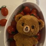 <b>Nct</b> 해찬 정우 팬들아 이 인형