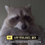 [댓글부탁해] 128키로년 조카 쳐<b>패고</b>싶네