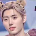 <b>성훈</b>은 광대만 없었으면