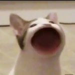 [댓글부탁해] 놀이공원 갈 때 <b>입</b>을 <b>옷</b> 추천해주ㅕ