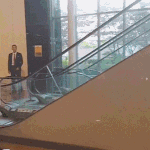 [군대] 얘 뭐임?