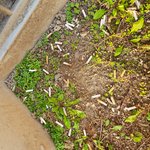 아파트베란다에서 담배피는 사람.. 도와주세요