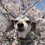 [19] 그게 그렇게 <b>찌릿</b>하고 황홀해??