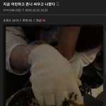여친이 만들어준 주먹밥