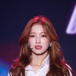 근데 오마이걸은 ㄹㅇ