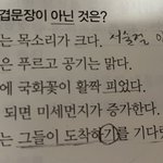 중3 국어 <b>문법</b> 도와주세욥
