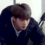 원빈 <b>현빈</b> 김석진