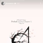 EPEX 컴백 다같이 홍보해주는 C9 식구들