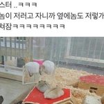 [댓글부탁해] <b>enfp</b>랑 항상 싸우는데