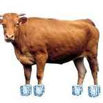 [모두드루와] 레드벨벳 컴백기념 최애 수록곡들 말하고가