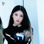 가을 <b>이사진</b> 개이쁘다