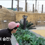 [스키즈] 진짜 <b>존잼</b>