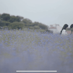 환연 <b>현규</b>해은 백퍼 여기서 뽀뽀함 ㅇㅇ