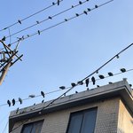 <b>장애</b>인들 걍 <b>장애</b>인학교갔으면좋겠다