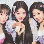 [드루와] 너네 재밌게 본 <b>인소</b> 있음?