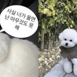 [조언부탁해] 나 헤어져야되는지 봐줘 도와줘...