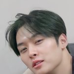 <b>리노</b> 팬들아 한번만 도와줘