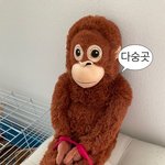 내 동생 ㄹㅇ 시선 상관안쓰고 ㅈㄴ 마이웨이임