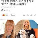 한국 치킨집에서 개고기 먹었다고 <b>주장</b>하는 영국여성