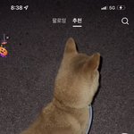 이거 개소름돋는다