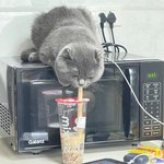 [19] 남자들 <b>특유</b>의 냄새같은거 있지않아??