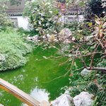 [이것좀봐줘] 고통받는 사람들아