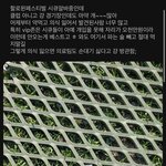 이태원 쓰러져있는거 마약이래