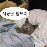 [댓글부탁해] 이거 내가 눈치 없었던 건가?