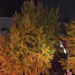 내 아는애 <b>개힙</b>찔인데 지금 ㅋㅋ